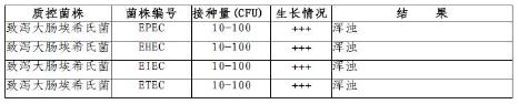 含225mlEC肉湯均質袋
