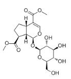 連翹酯二甲酯標(biāo)準(zhǔn)品