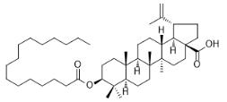 白樺脂酸棕櫚酸酯標準品