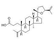 Richenoic acid標準品