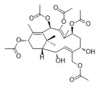 2-脫乙酰基紫杉三烯A標準品