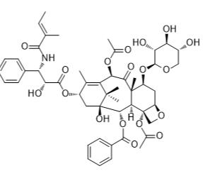 7-木糖基紫杉醇B標(biāo)準(zhǔn)品