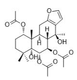 酪蛋白E標準品