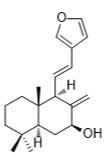 二羥丙茶堿A標準品