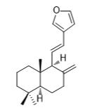 狗牙花堿E標(biāo)準(zhǔn)品