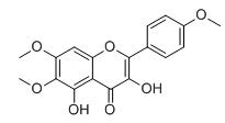 薇甘菊黃素標準品