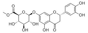 圣草酚-7-O-β-D-葡萄糖醛酸甲酯標準品