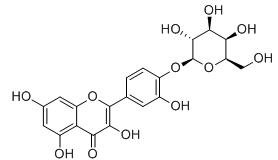 槲皮素-4'-O-半乳糖苷標準品
