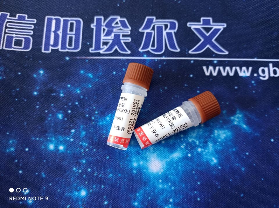 Vero細(xì)胞DNA定量國(guó)家標(biāo)準(zhǔn)品